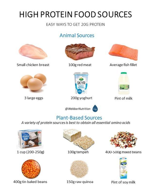 Prioritize Protein Intake to Preserve Muscle Mass