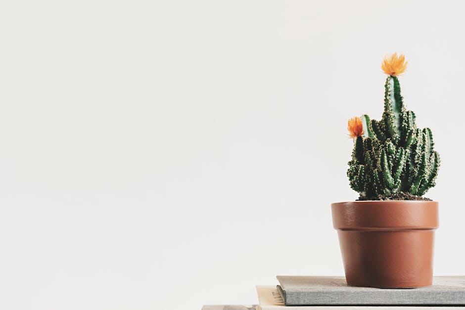 Embrace Minimalism with Strategic Statement Items