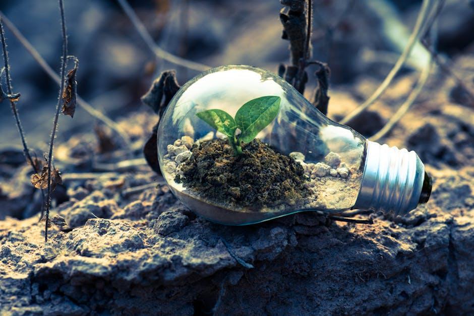 Cultivate a Growth Mindset for Self-Improvement