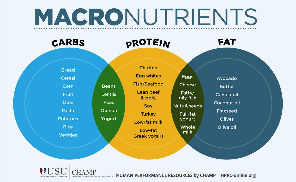 Understanding Macronutrients for Optimal Results