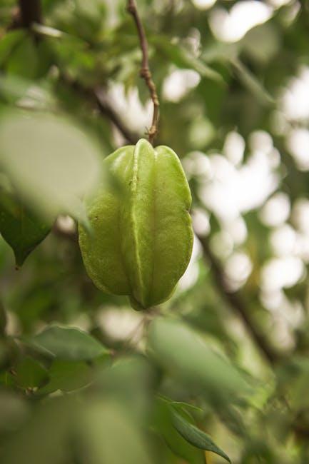Incorporating High-Protein Plant Foods into Your Fitness Regimen