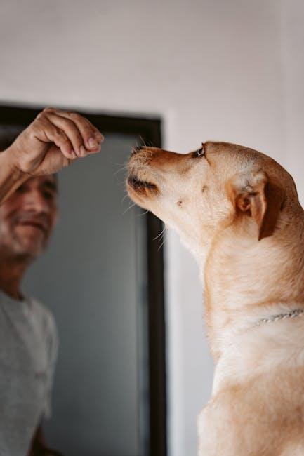 Strategies for Implementing Positive Reinforcement in Daily Life