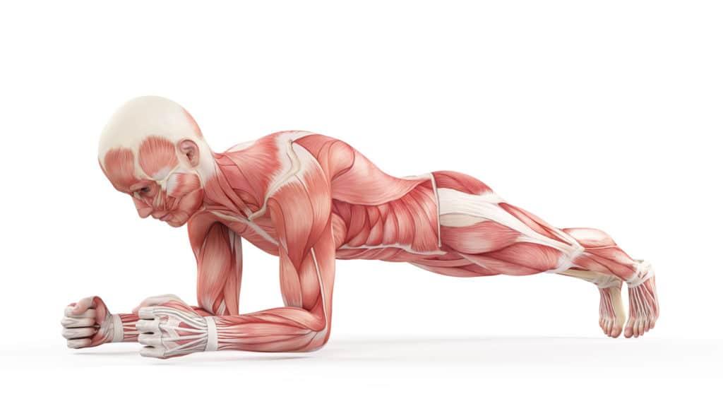 Mastering Technique to Maximize​ Muscle Engagement