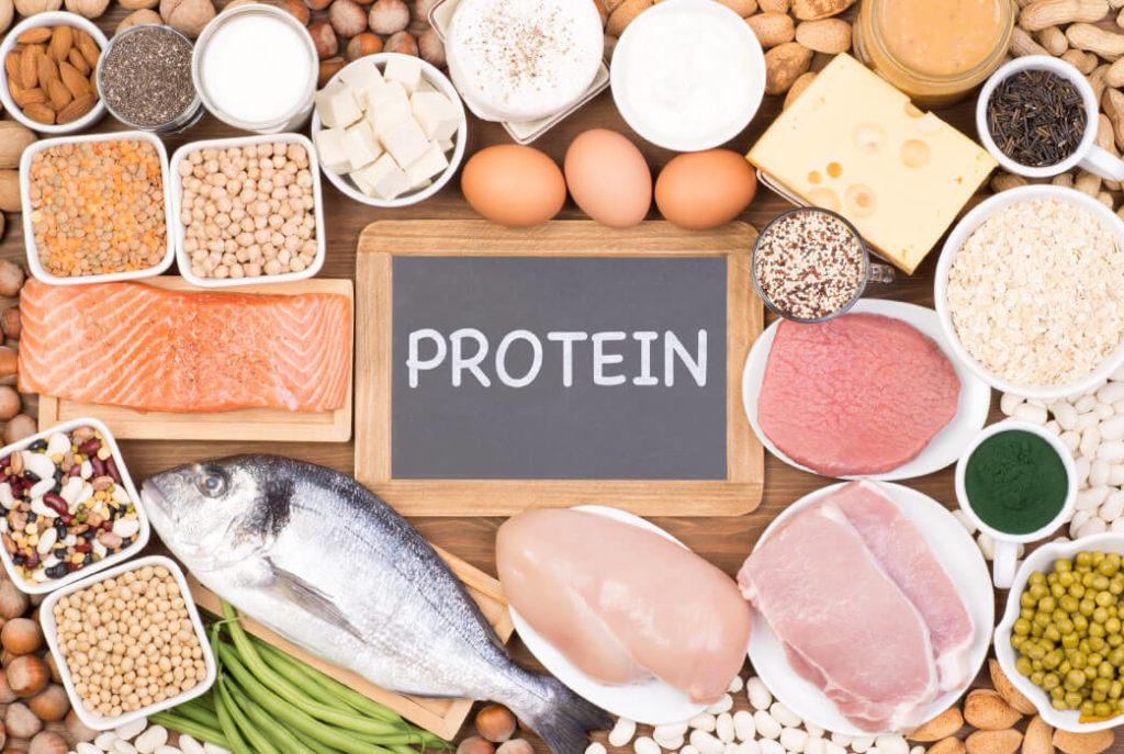 Timing Your Protein Intake to Enhance Muscle Synthesis