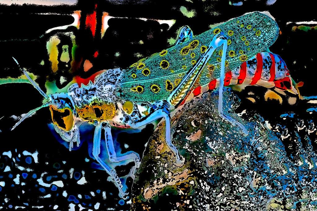 Optimal Protein Sources for Muscle Repair