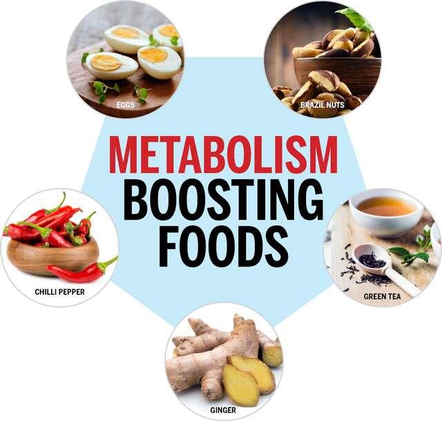 The Best Foods for Improving Your Metabolism