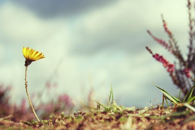 The Best Ways to Deal with Relationship Setbacks
