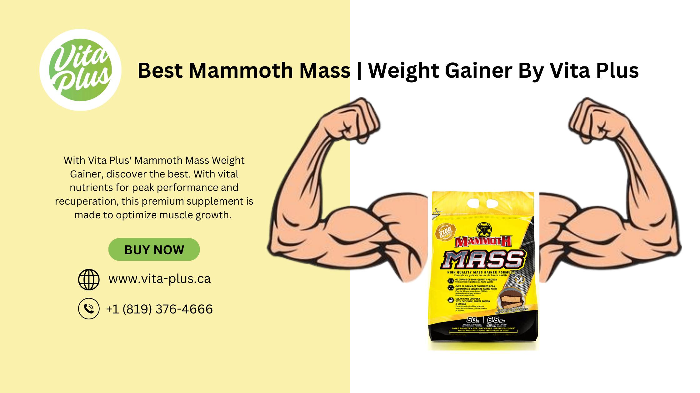 Fuel Your Body: Essential​ Macronutrients ⁣for Peak Performance