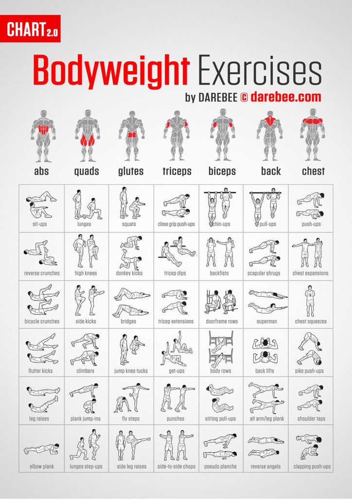 best bodyweight exercises for muscle building