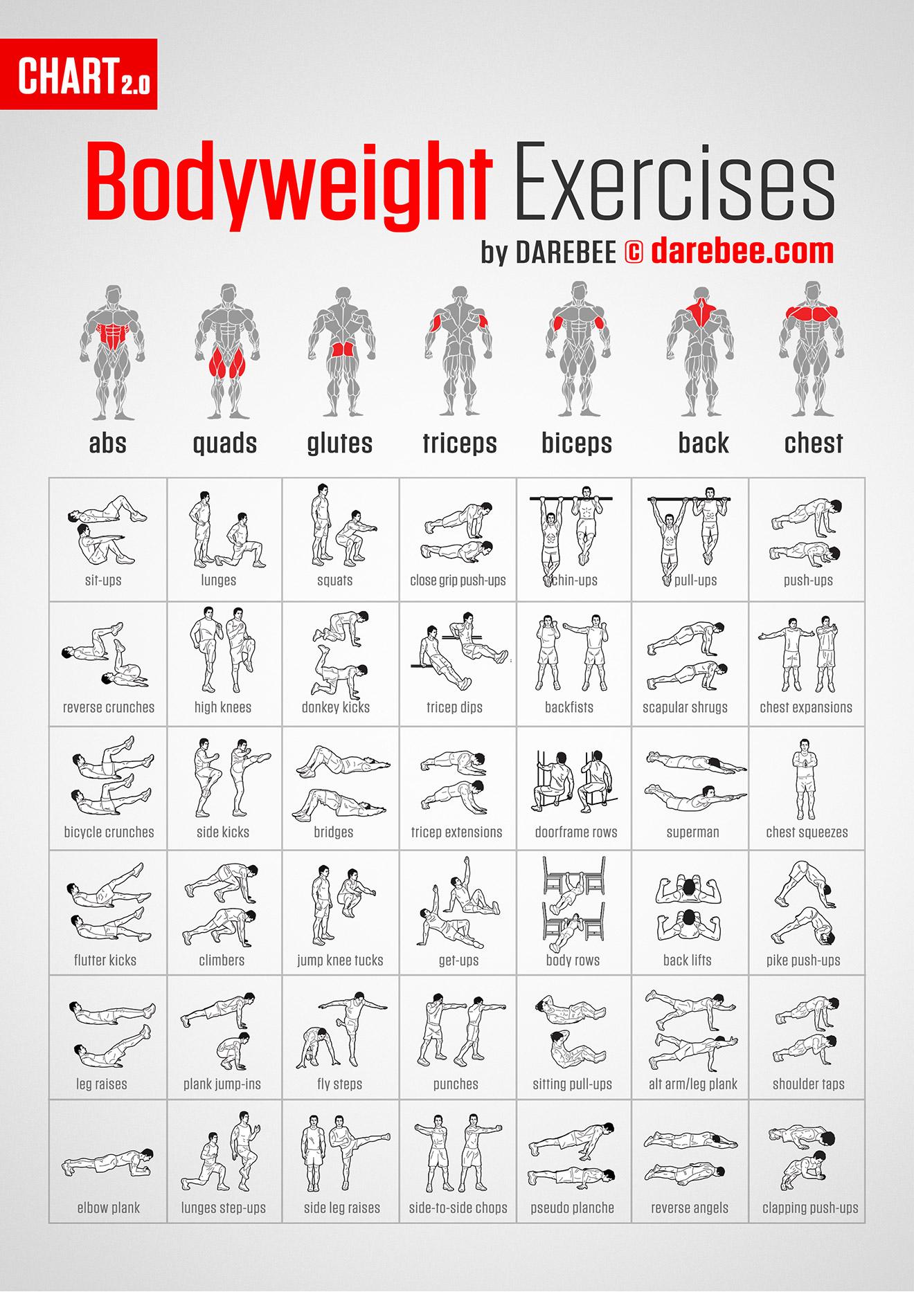 best bodyweight exercises for muscle building