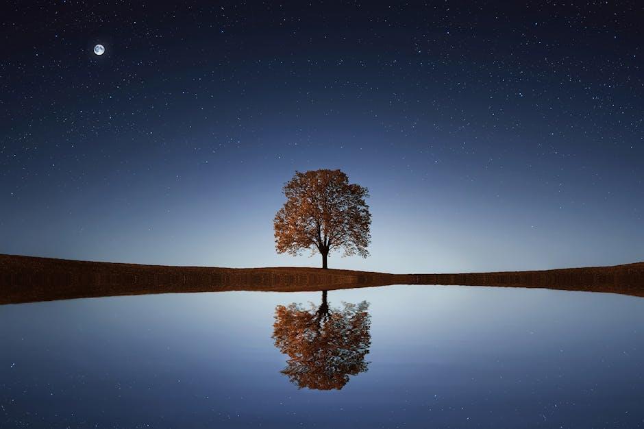Harnessing the Power of Reflection to Learn from Past Decisions