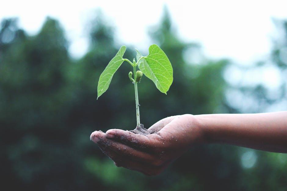 Embrace the Unknown with a Growth Mindset