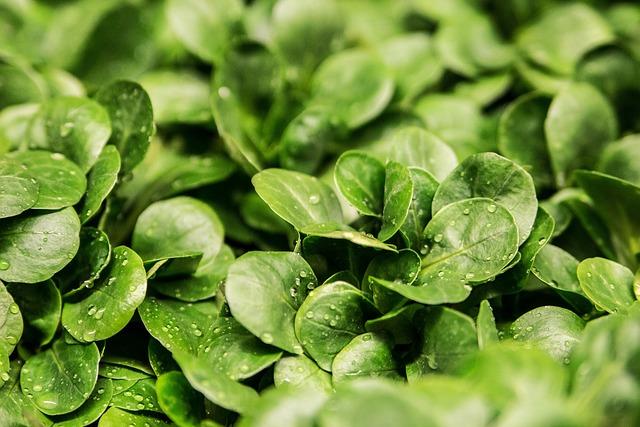 Incorporate Cruciferous Vegetables for Hormonal Balance