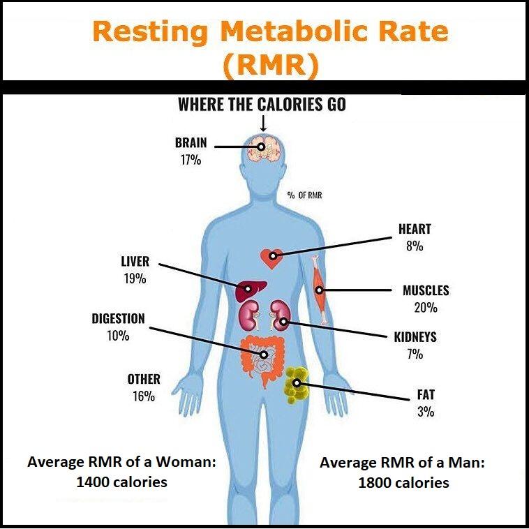 Choosing Foods That Naturally Accelerate Metabolic Rate