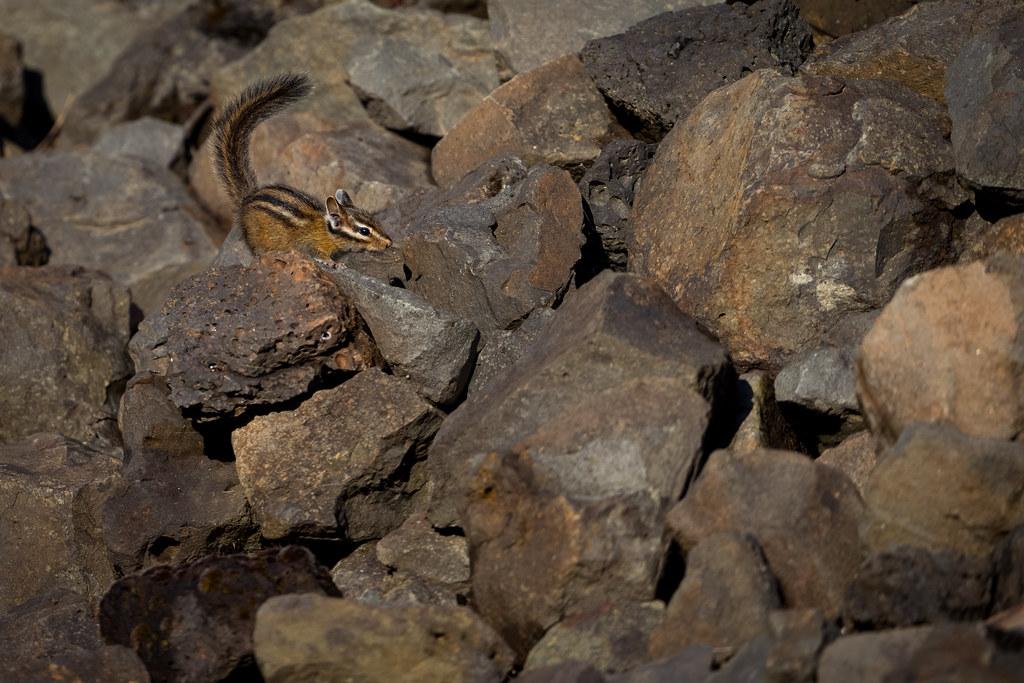 Mastering Eye Contact for Engaging Interactions