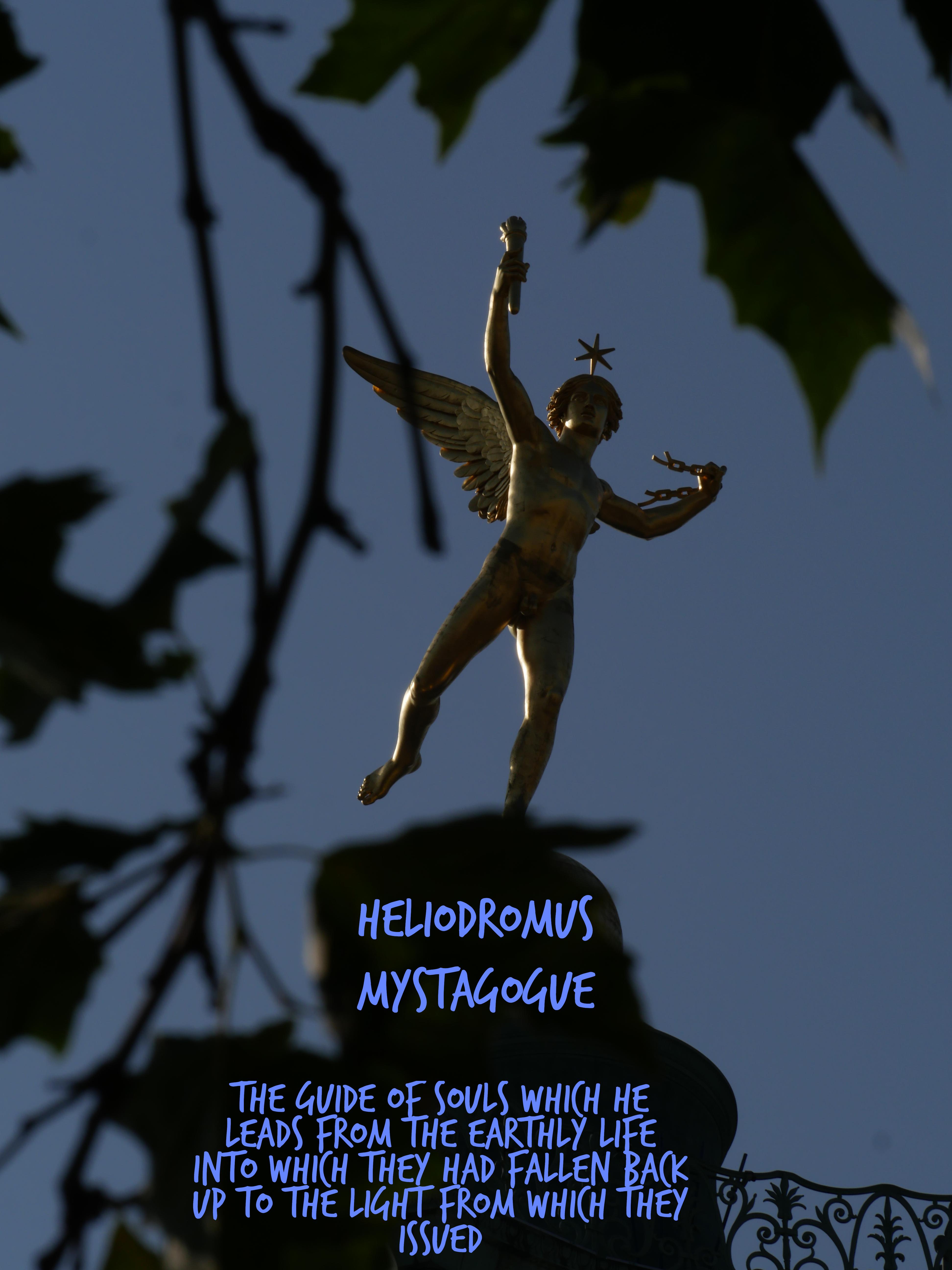 Cultivate a Daily Gratitude Practice