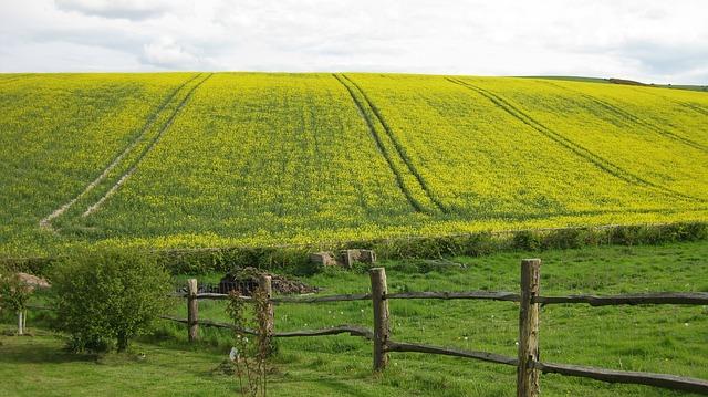 Establish Healthy Boundaries to Protect Your Well-being