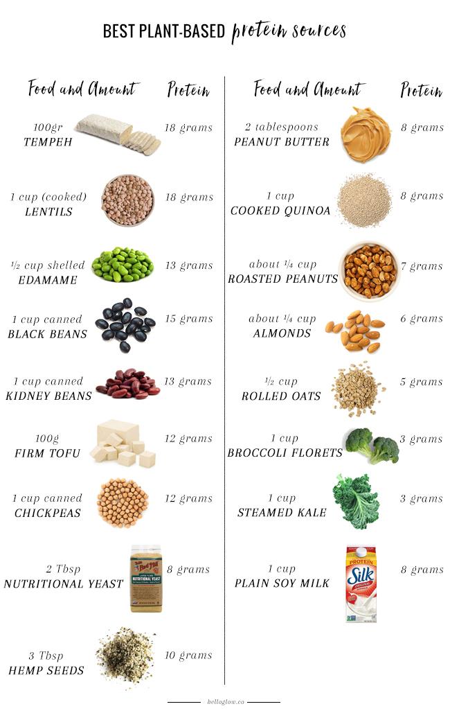 Selecting High-Quality Protein Sources